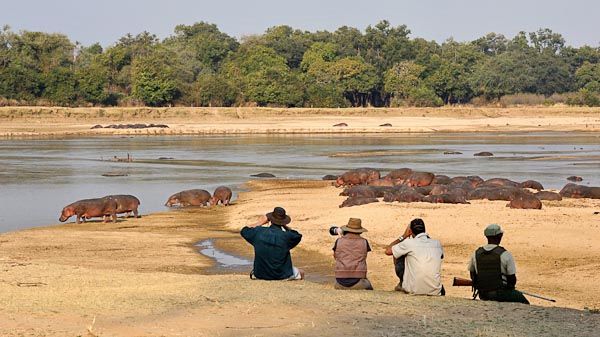 Mana Pools Walking Safari
